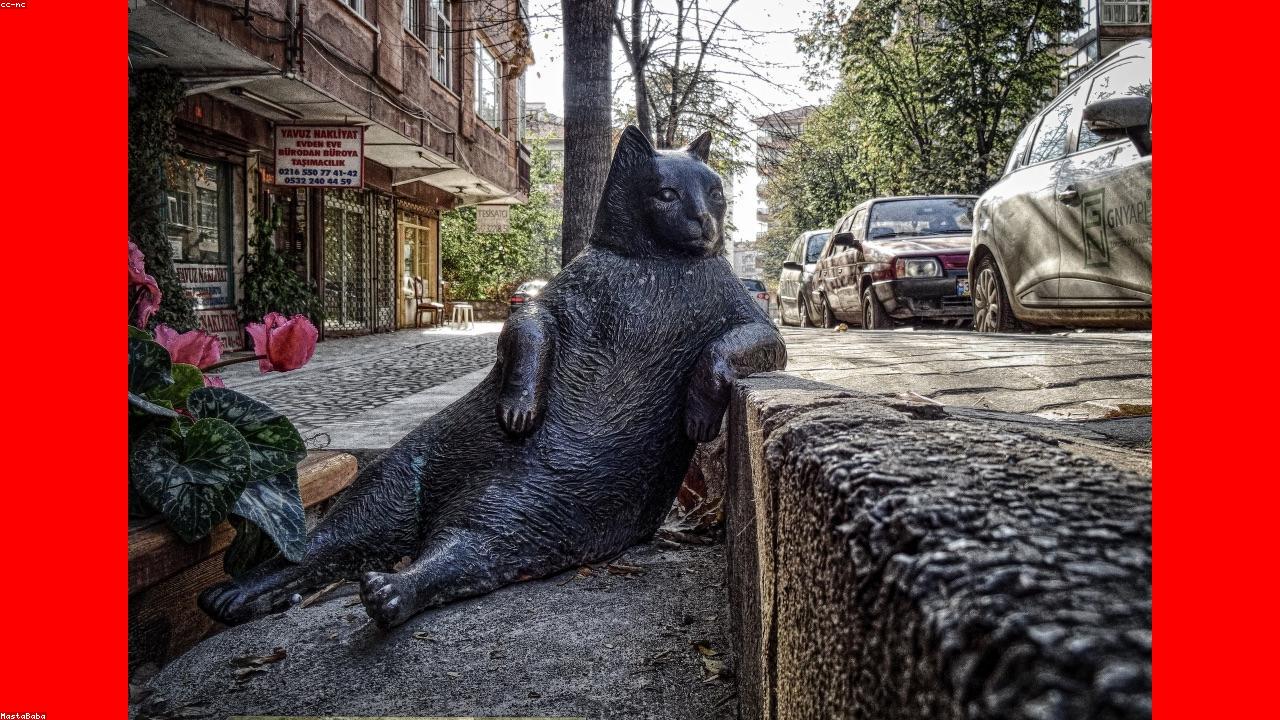 Academic coaching and mentoring for student success